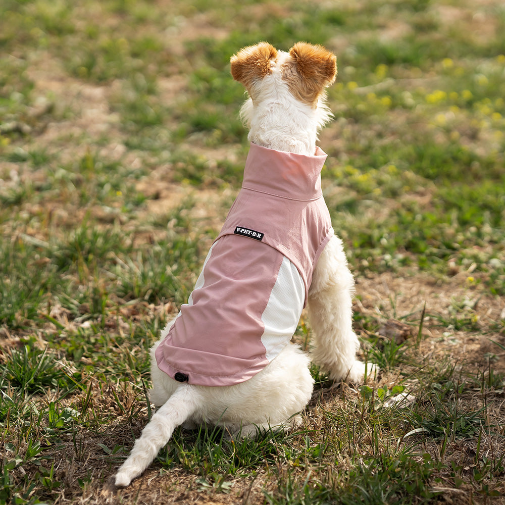 Whippet dog wearing a pink and white sleeveless high-neck dog jacket standing outside in a park. Tiny Menace