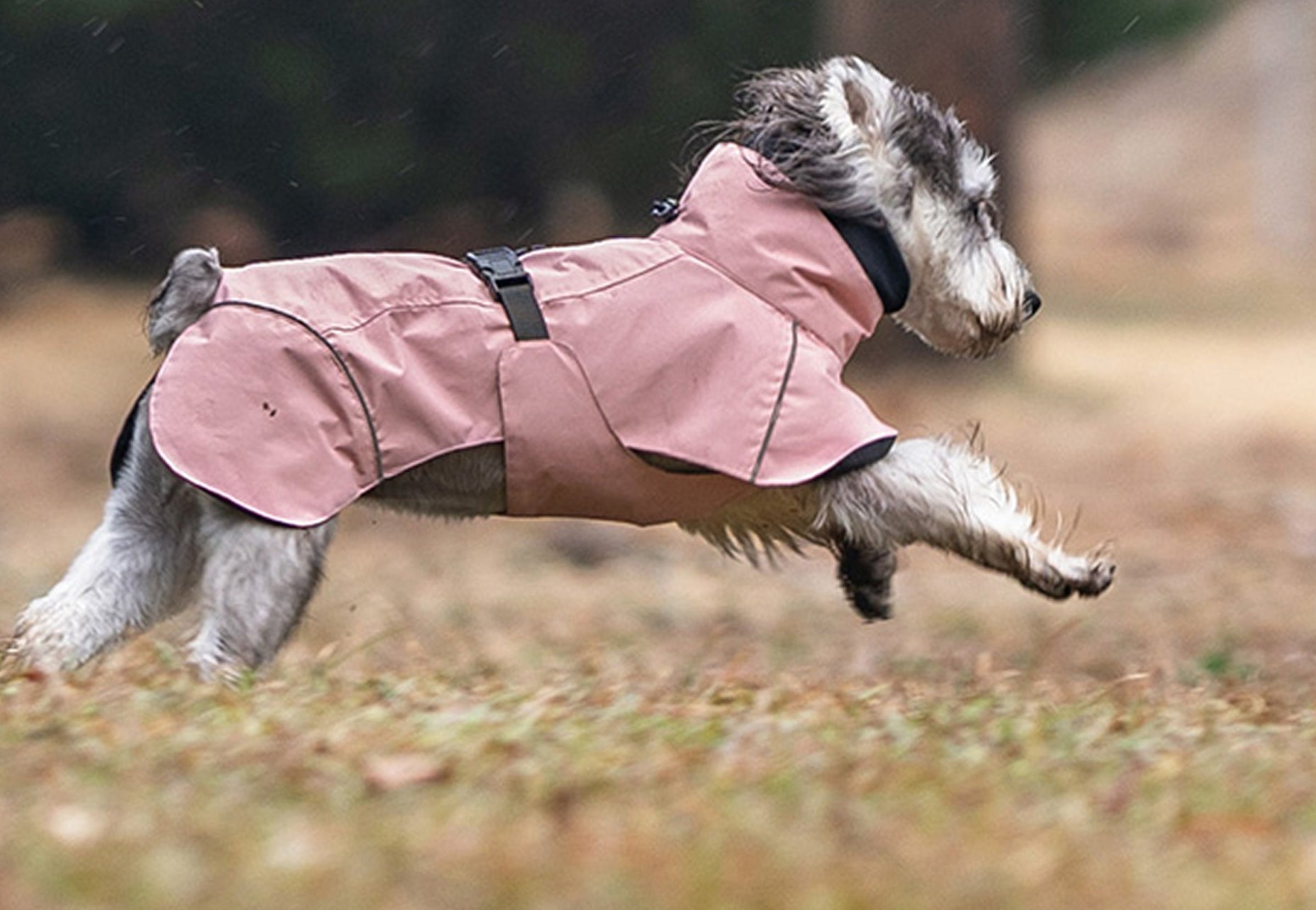 Dog running outdoors in a pink rain coat on a grassy area with trees in the background.
