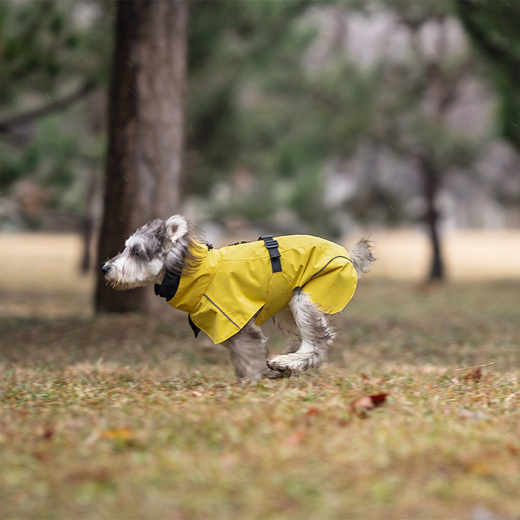 Dog wearing a yellow raincoat running in a park