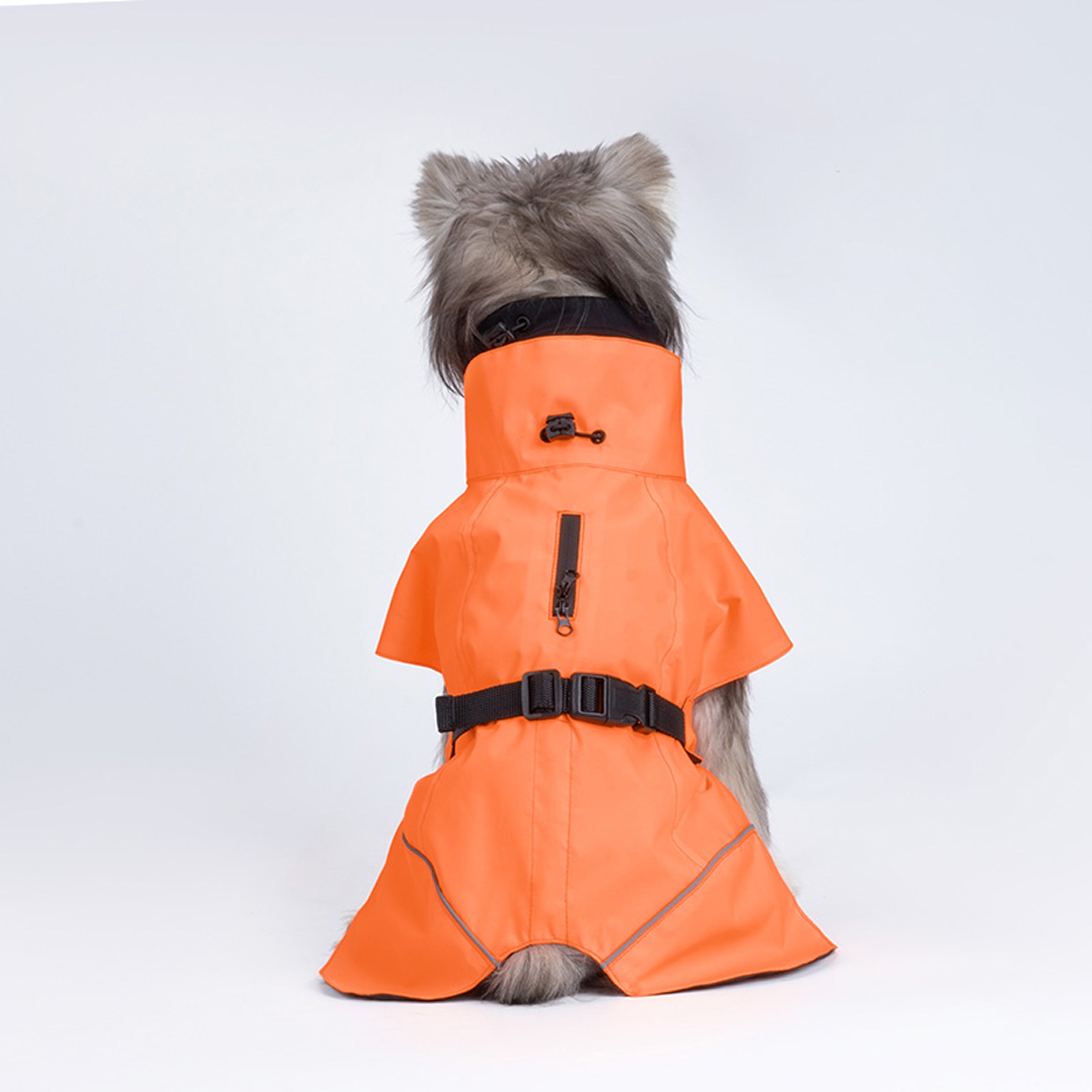 Dog wearing an orange raincoat on a white background