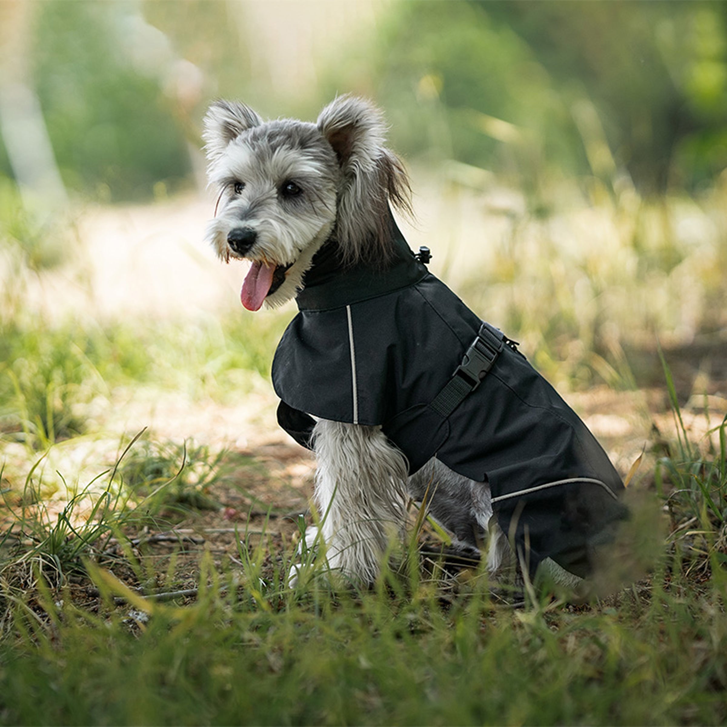 Dog wearing a black raincoat in a grassy outdoor setting