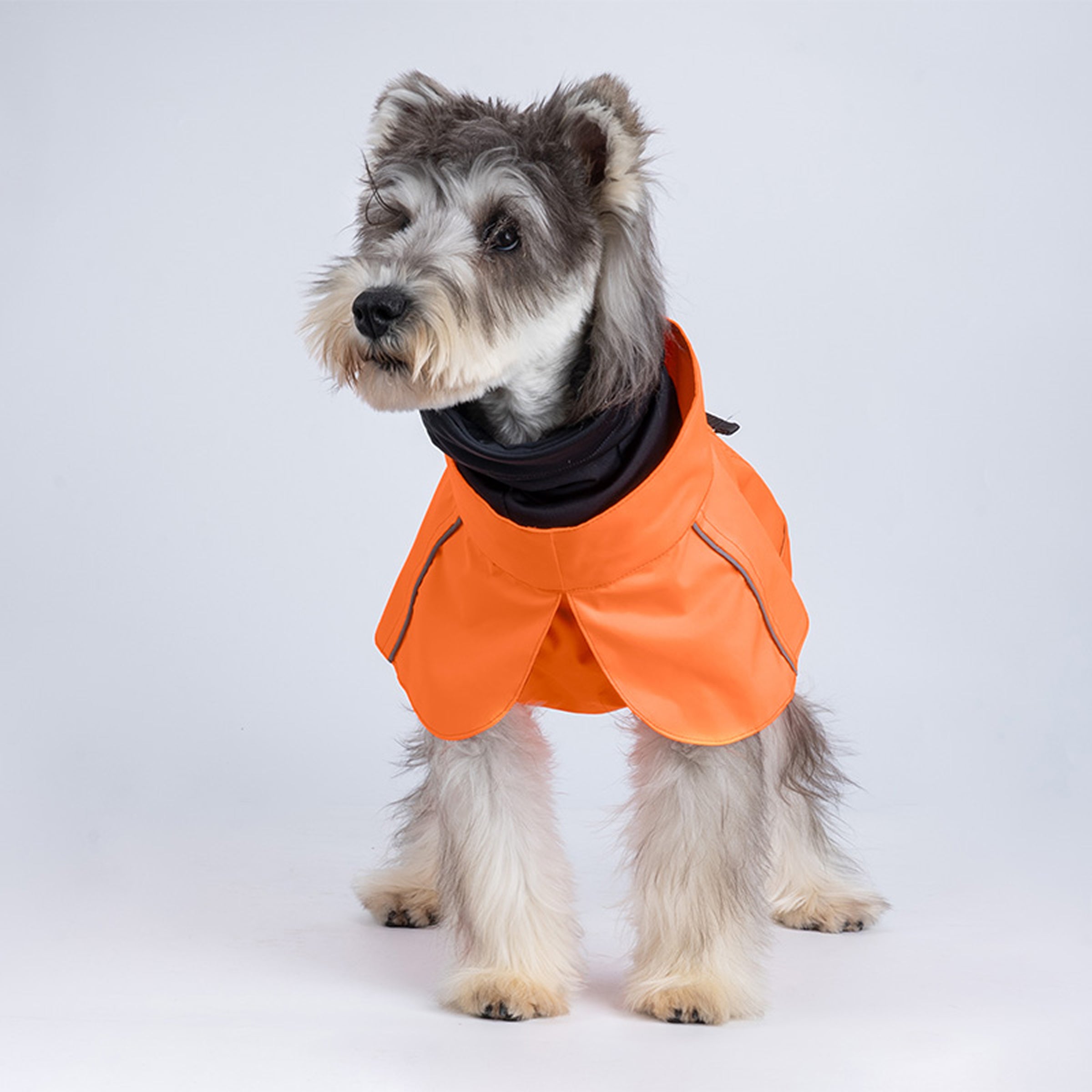 Dog wearing an orange raincoat on a white background
