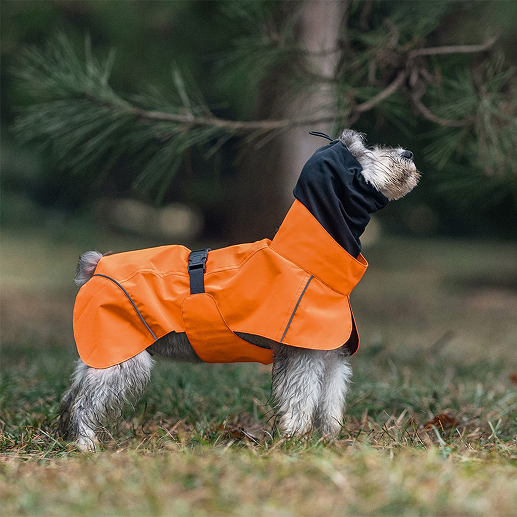 Dog wearing an orange raincoat in a forest setting