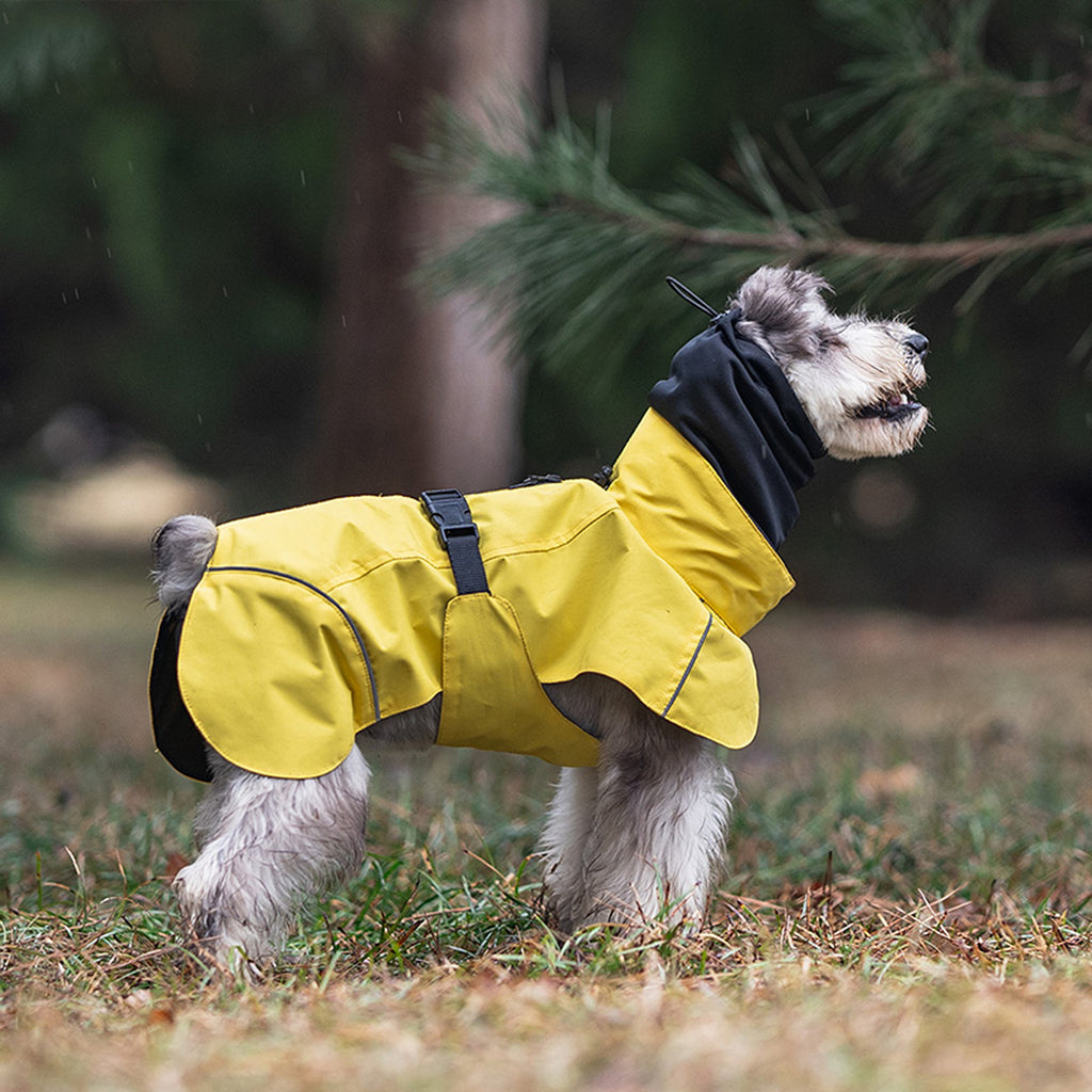 Dog wearing a yellow raincoat in a grassy outdoor setting