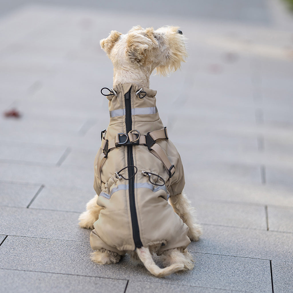 Back view of small dog in beige waterproof dog coat with full zip and harness attachment. Tiny Menace