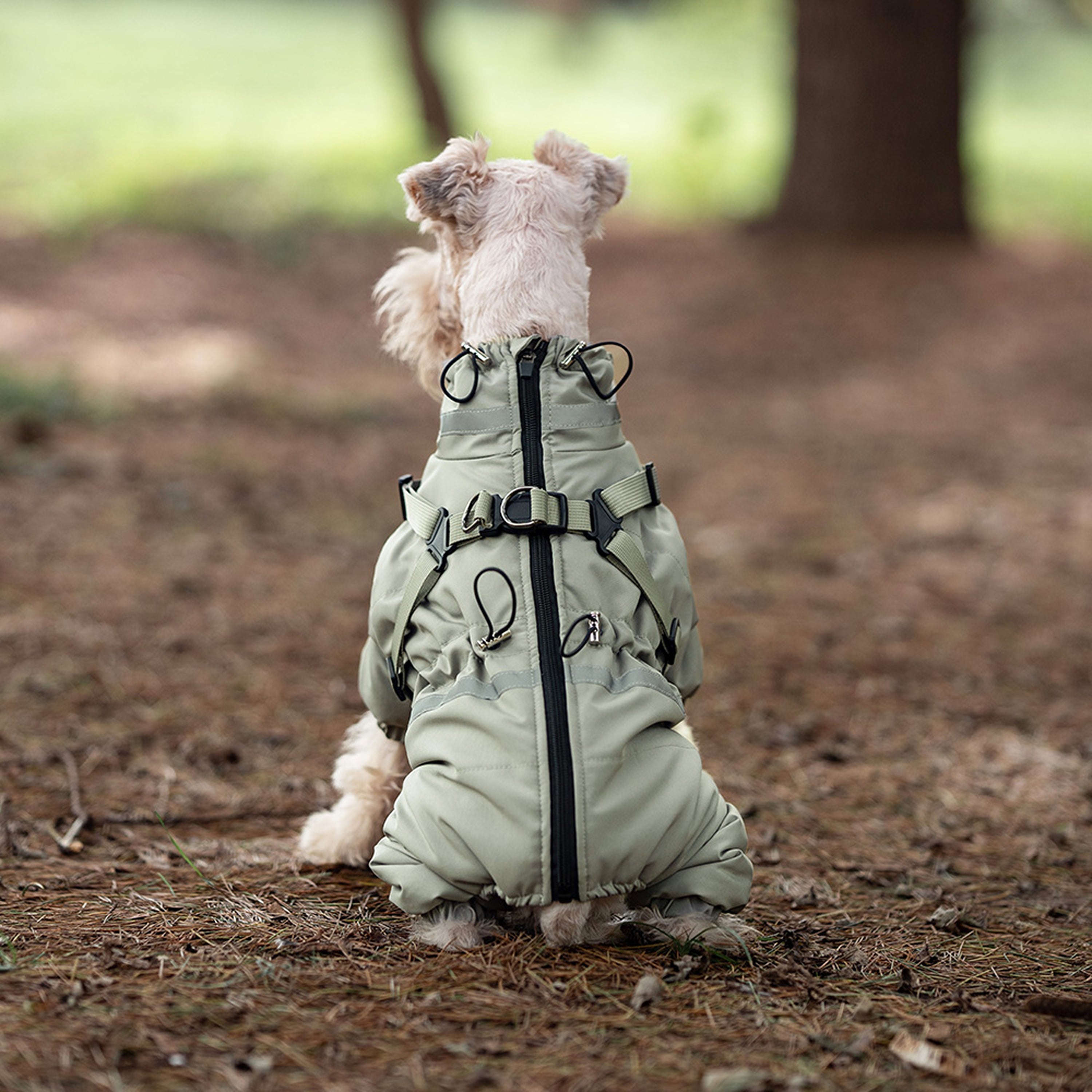 Back view of dog wearing green waterproof snowsuit with harness opening. Tiny Menace