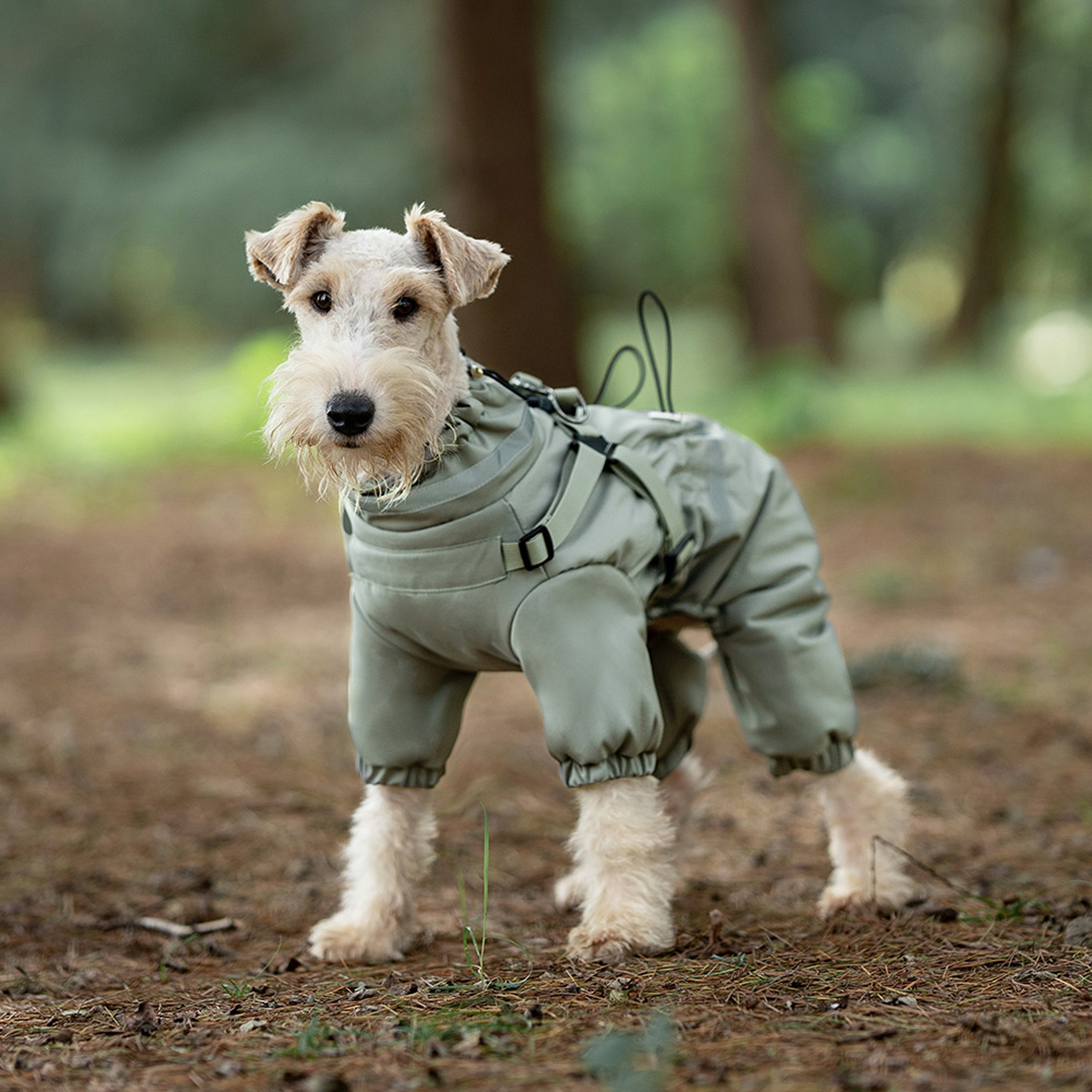 Front view of dog wearing green waterproof winter coat with high neck. Tiny Menace