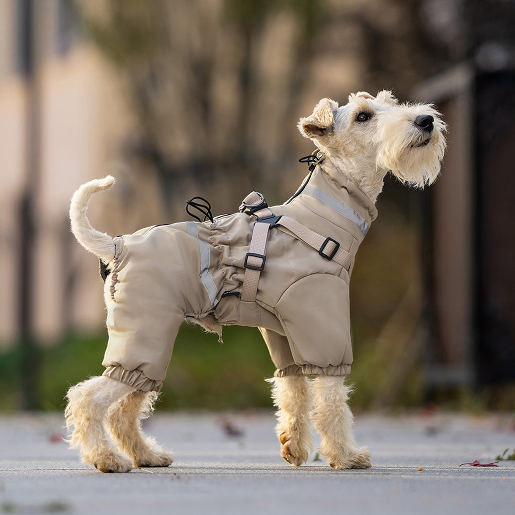 Side view of small dog wearing beige windproof dog coat with adjustable straps. Tiny Menace