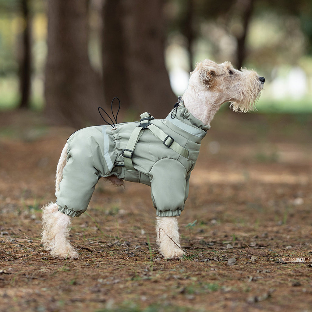 Dog wearing a green tactical outfit standing outdoors with trees in the background. Tiny Menace