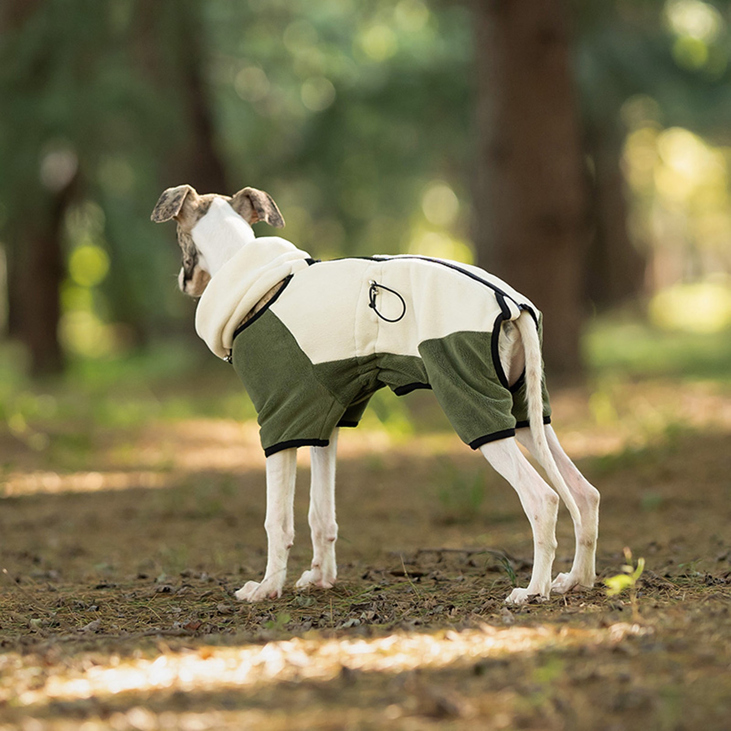 Dog wearing a green and white fleece jacket standing outdoors with trees in the background. Tiny Menace