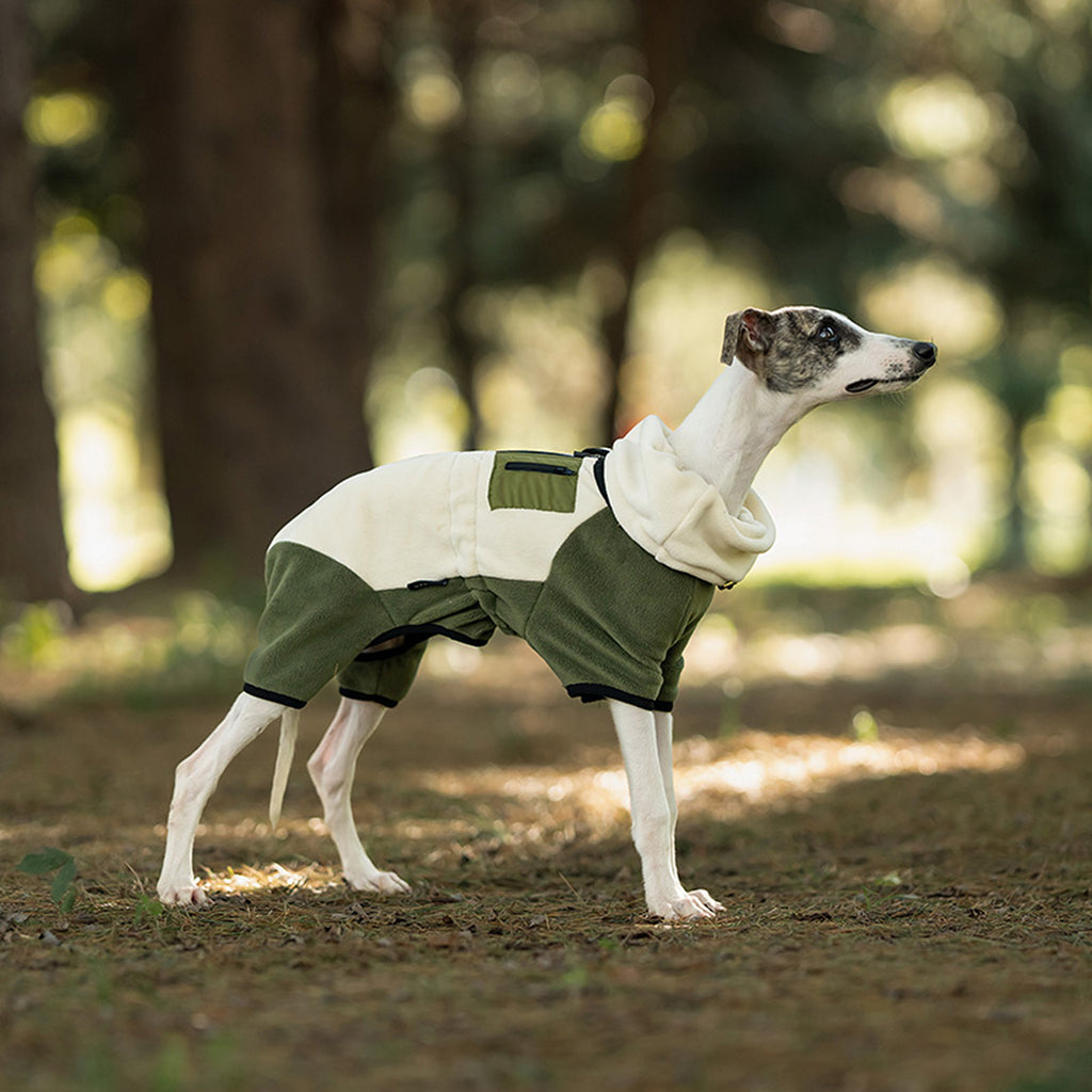 Dog wearing a green and white fleece jacket standing in a forest. Tiny Menace