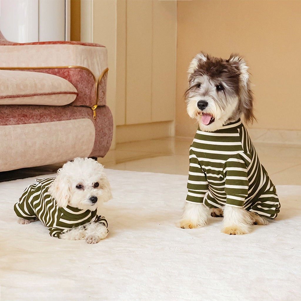 Two dogs wearing green and white striped cotton onesies sitting on a soft surface. Tiny Menace