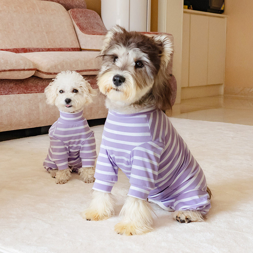 Two dogs wearing purple striped cotton onesies sitting on a carpeted floor. Tiny Menace