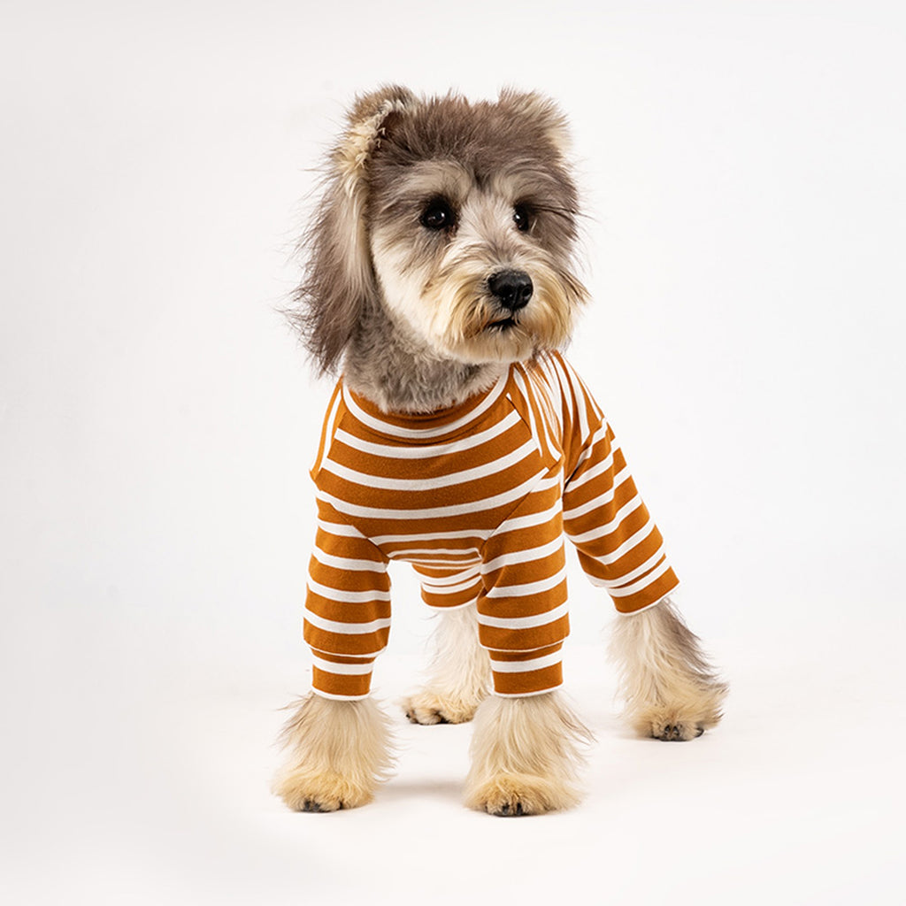 Dog wearing a striped orange and white cotton onesie on a white background. Tiny Menace