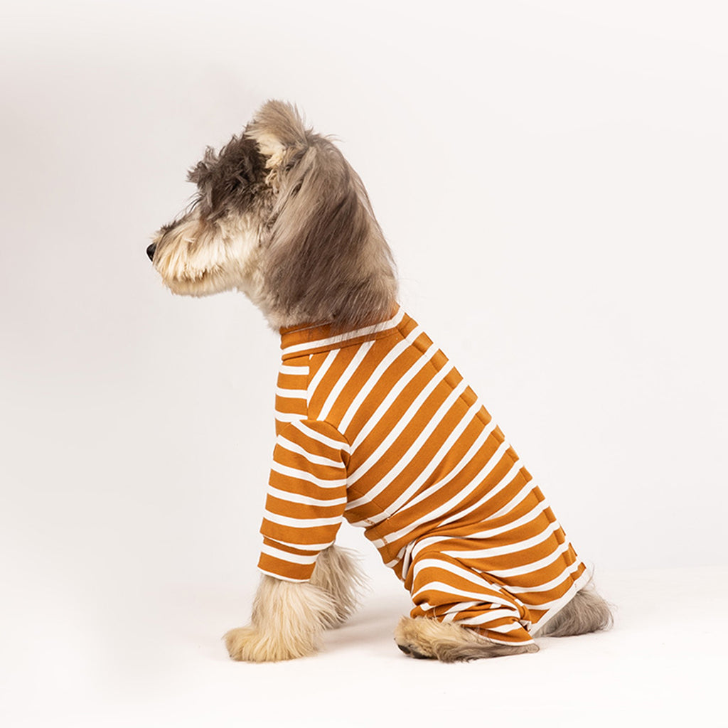 Dog wearing orange and white striped cotton onesie on a white background. Tiny Menace