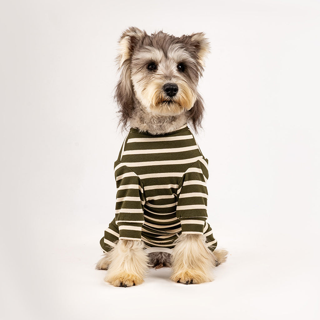 Dog wearing a green and white striped cotton onesie on a white background. Tiny Menace