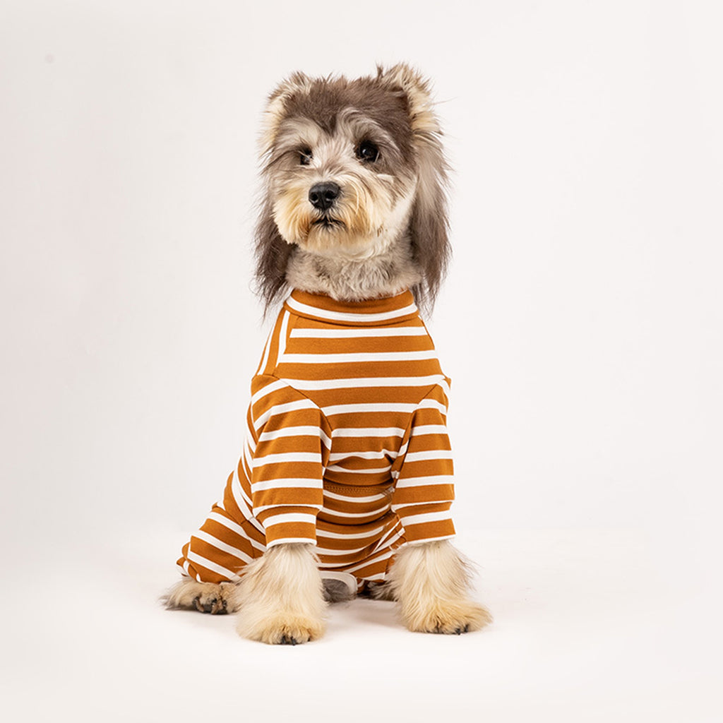 Dog wearing a striped orange and white cotton onesie on a light background sitting down. Tiny Menace