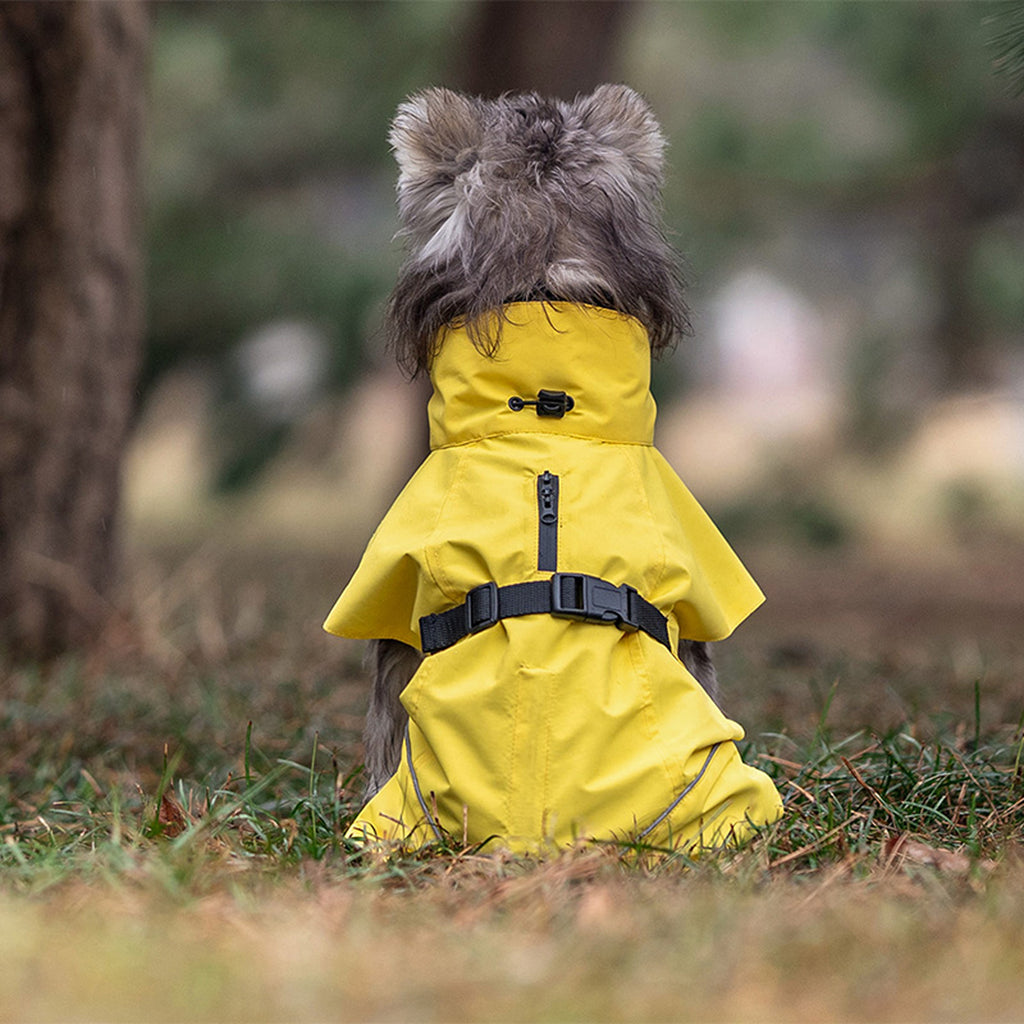 Dog wearing a yellow raincoat in a natural setting